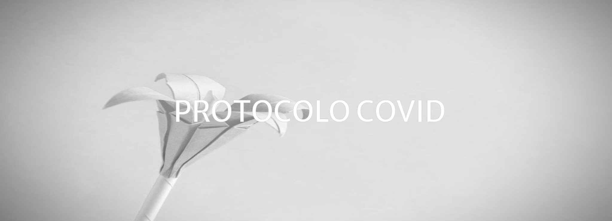 PROTOCOLO COVID